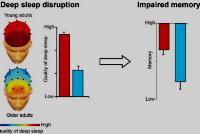 Плохой сон в старости препятствует сохранению воспоминаний