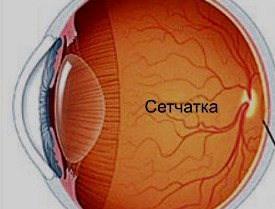 Глаза могут содержать ключи к оценке риска инсульта